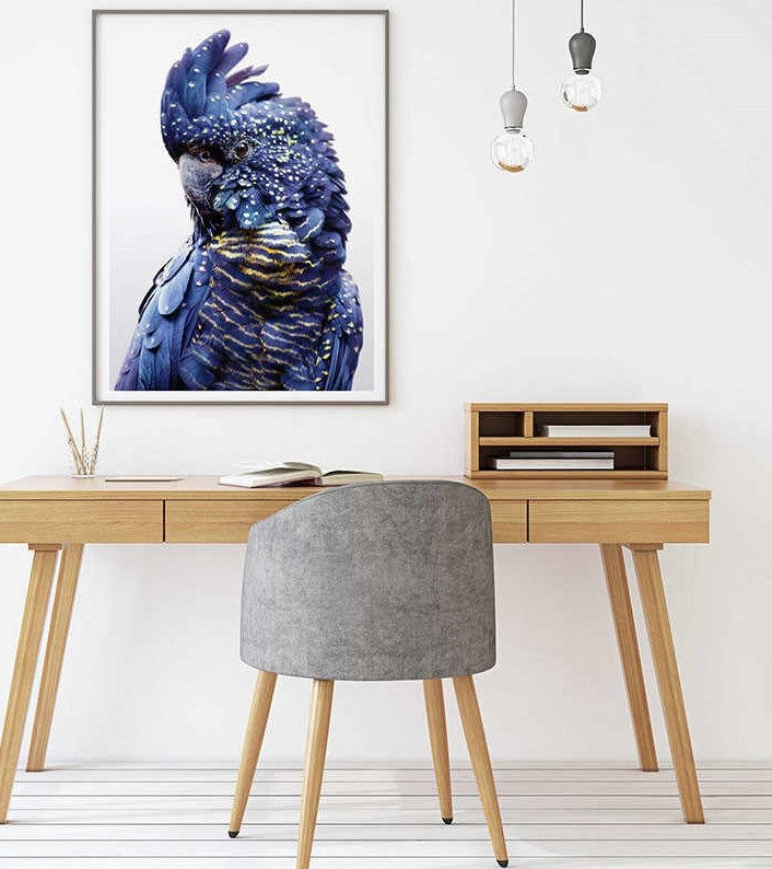 50cmx70cm Black Cockatoo A Black Frame Canvas Wall Art - image2