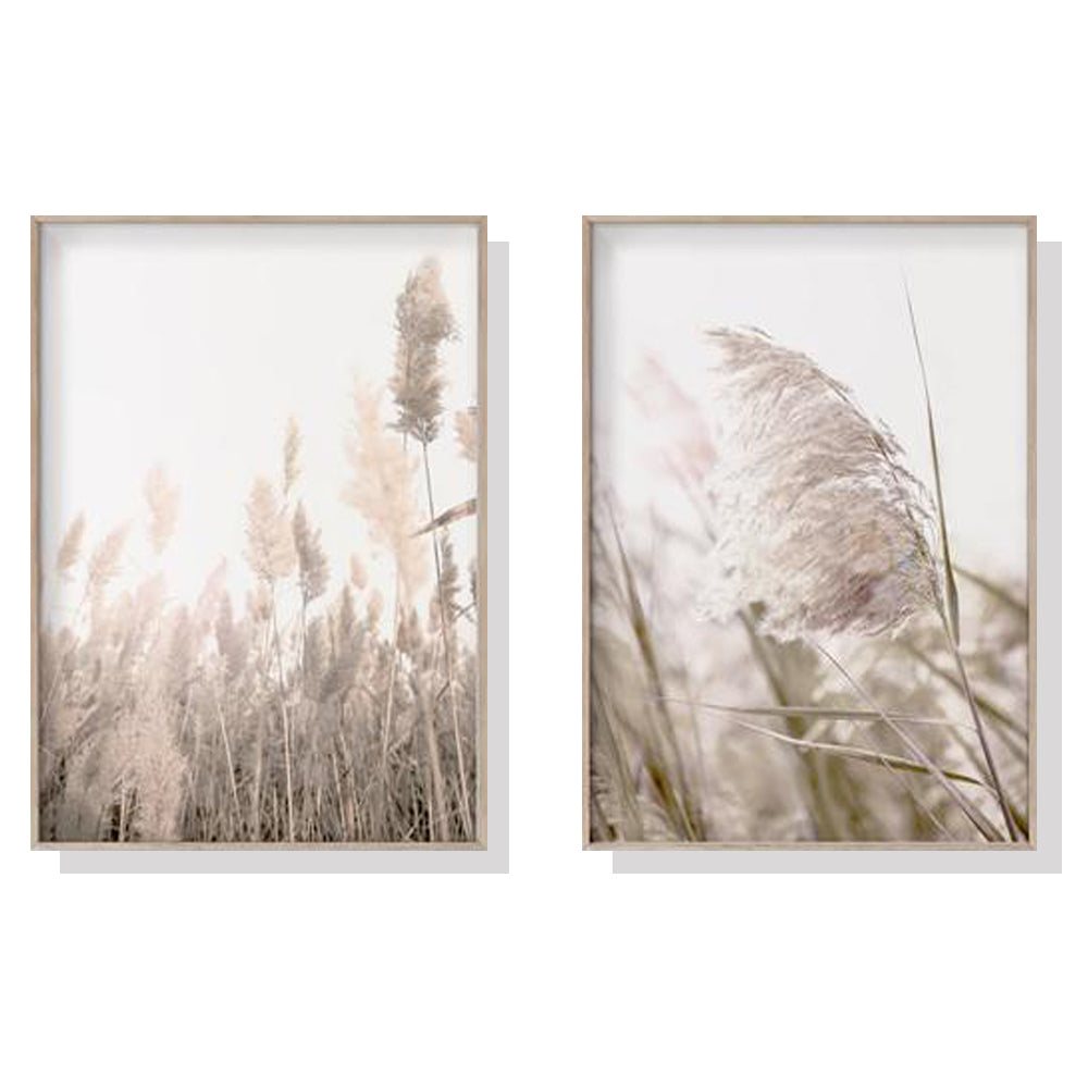 40cmx60cm Pampas Grass 2 Sets Wood Frame Canvas Wall Art - image1