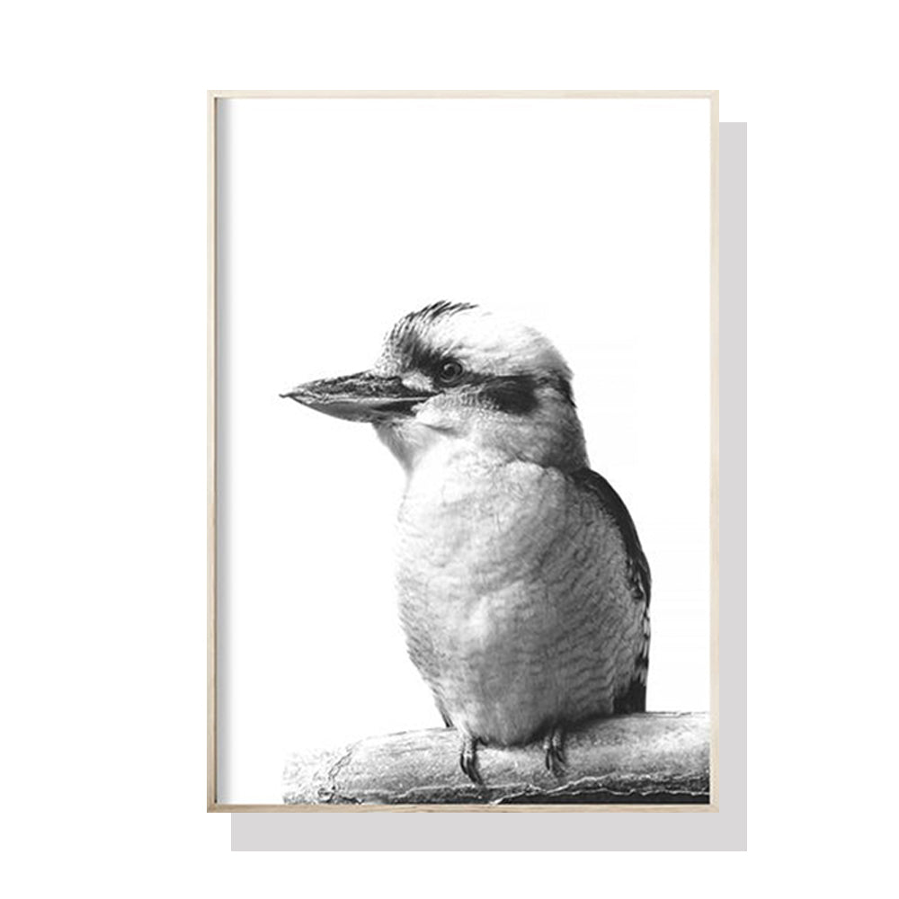 50cmx70cm Kookaburra Black Frame Canvas Wall Art - image1