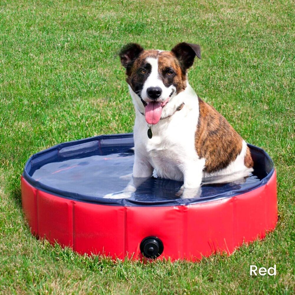 Floofi Pet Pool 120cm*30cm XL Red FI-SB-105-SG - image2