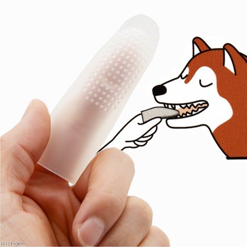 EARTH Pet Finger Toothbrush (For Cats And Dogs) x3 - image4