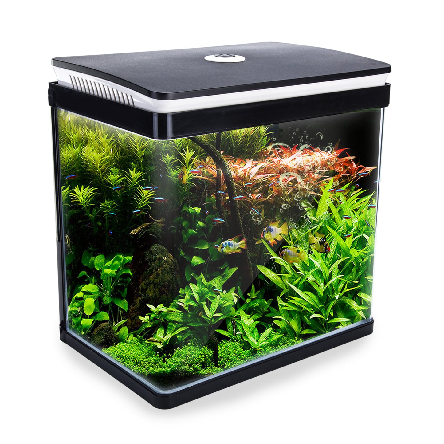 Aquarium Fish Tank 30L Curved Glass RGB LED - image1