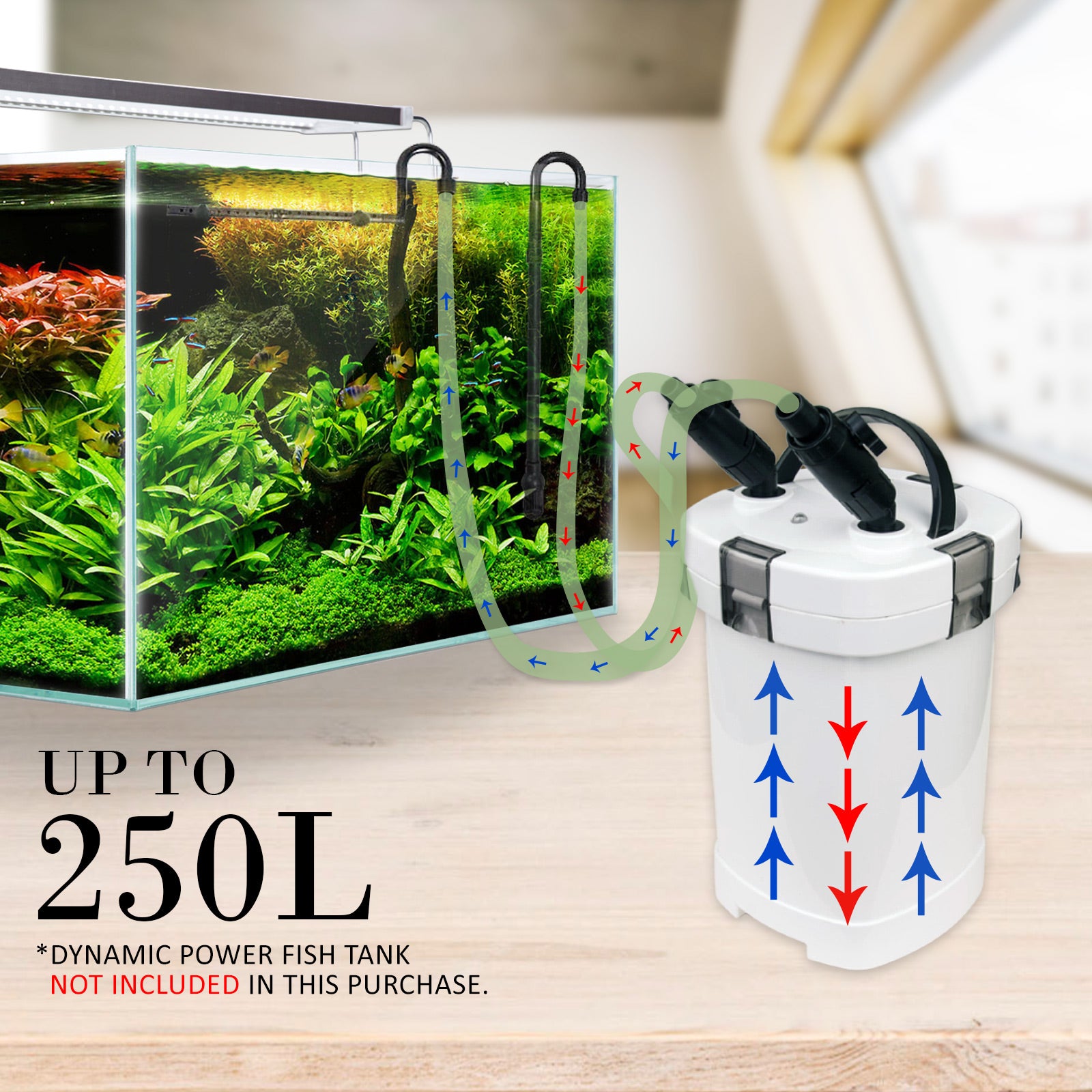 Dynamic Power Aquarium External Canister Filter 1000L/H - image4