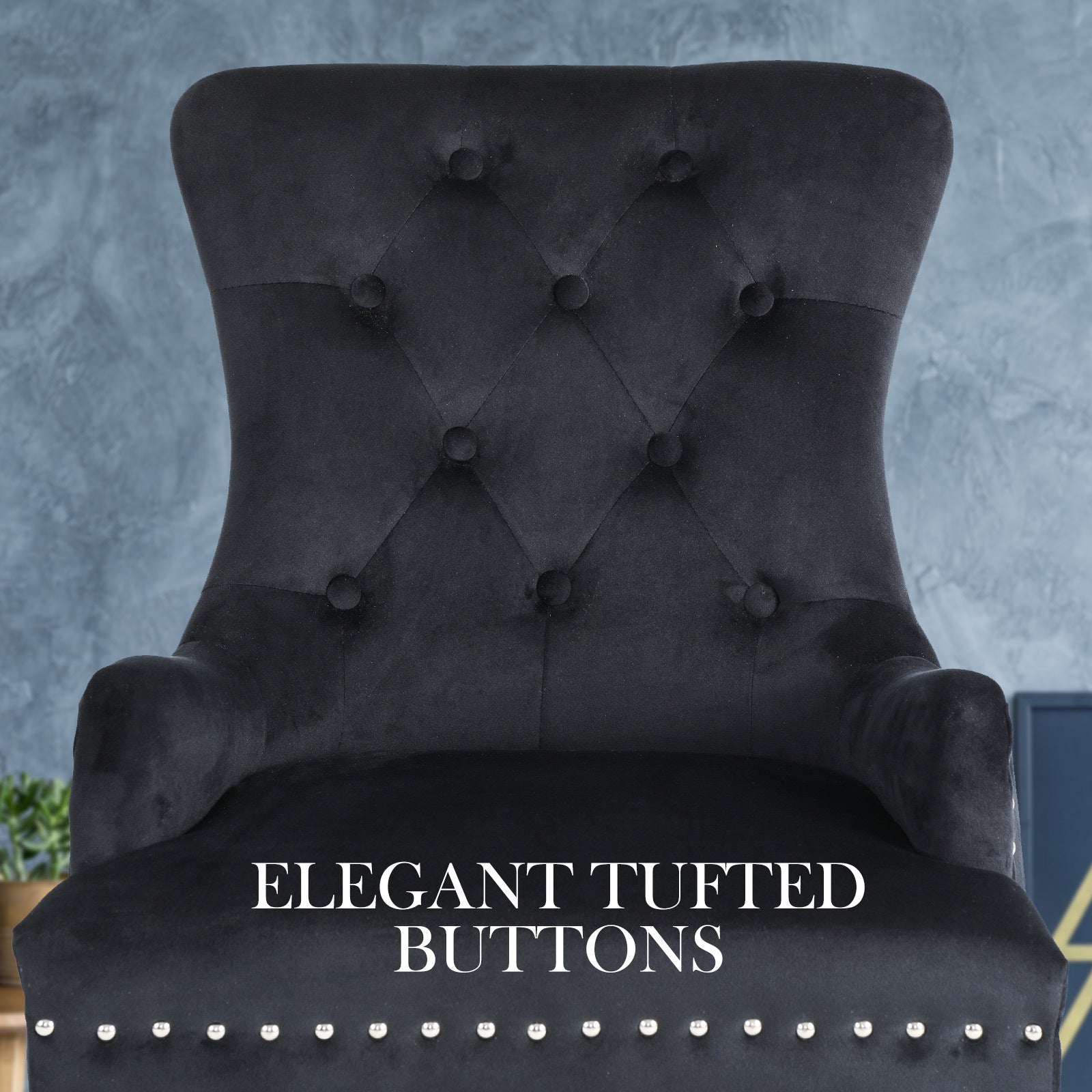 Black French Provincial Dining Chair Ring Studded Lisse Velvet Rubberwood - image4