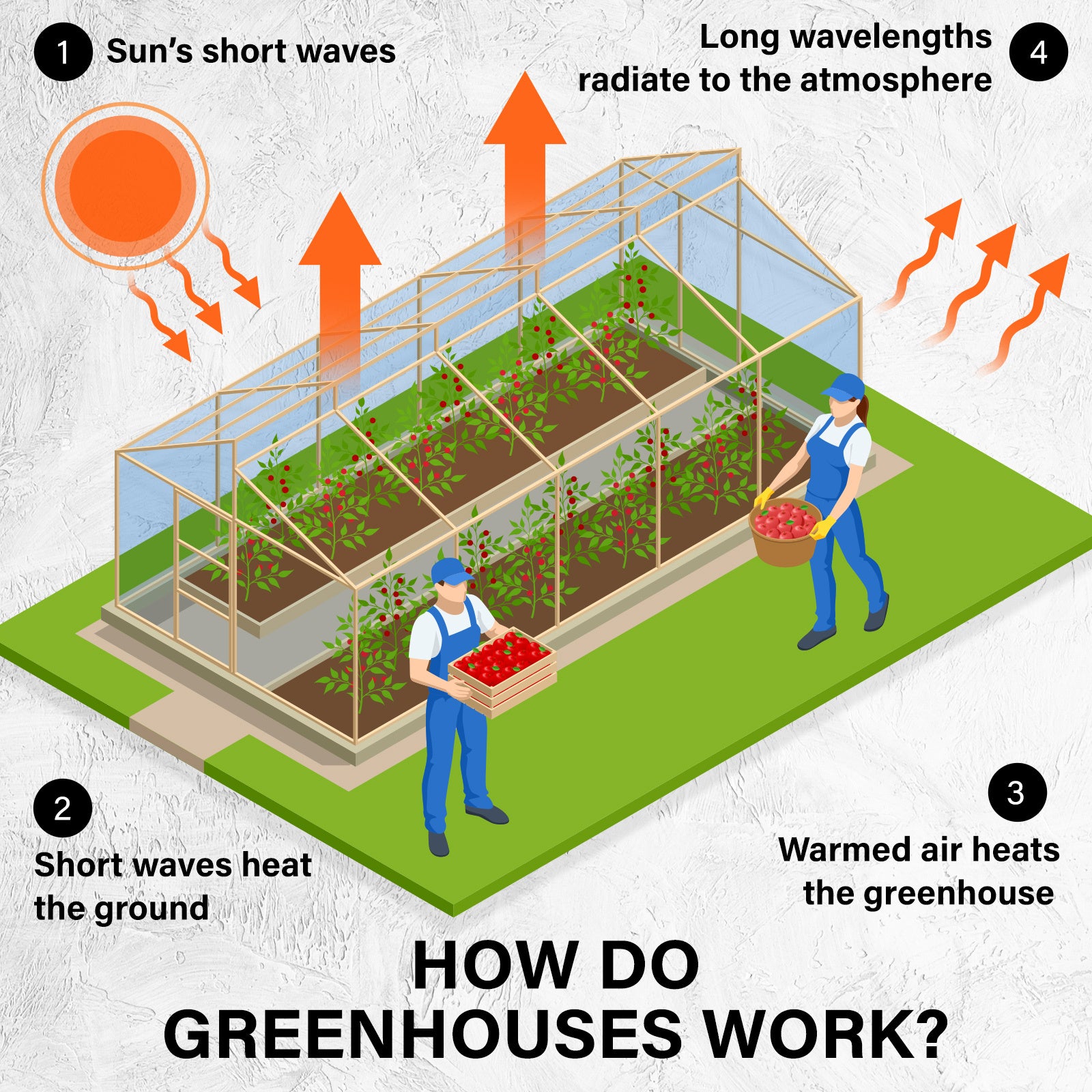 Home Ready Dome Hoop Tunnel Polytunnel 4x3x2M Garden Greenhouse Walk-In Shed PE - image4