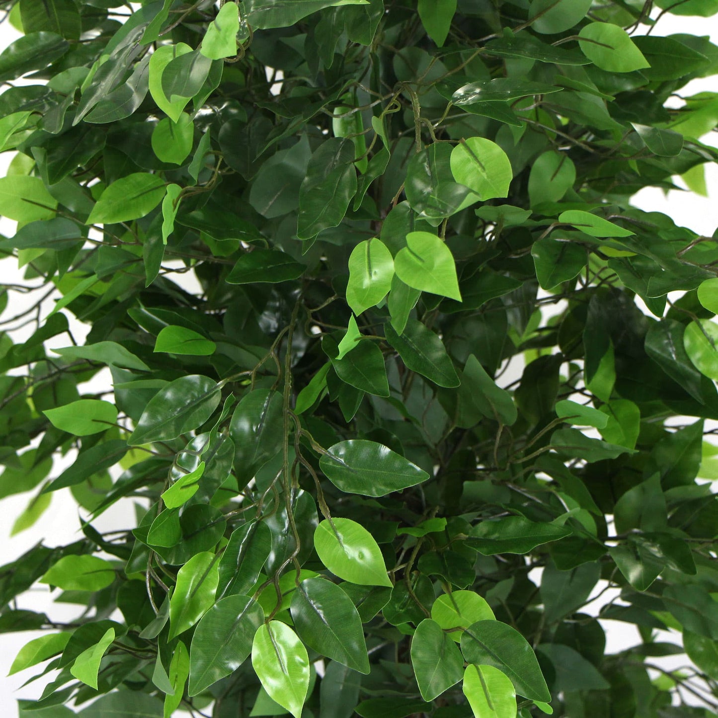 Artificial Ficus Tree 180cm Nearly Natural UV Resistant - image4