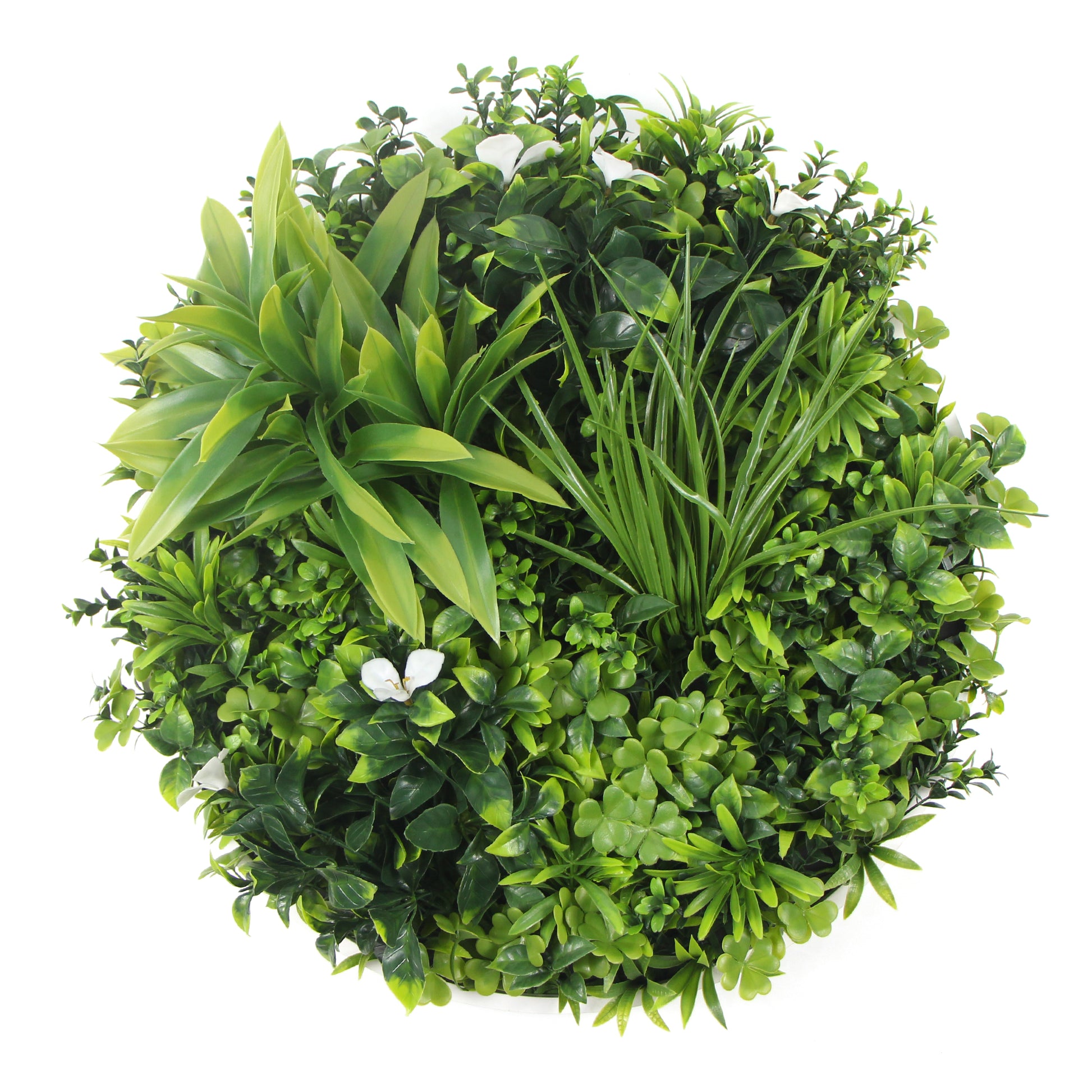 Flowering White Artificial Green Wall Disc UV Resistant 75cm (White Frame) - image1