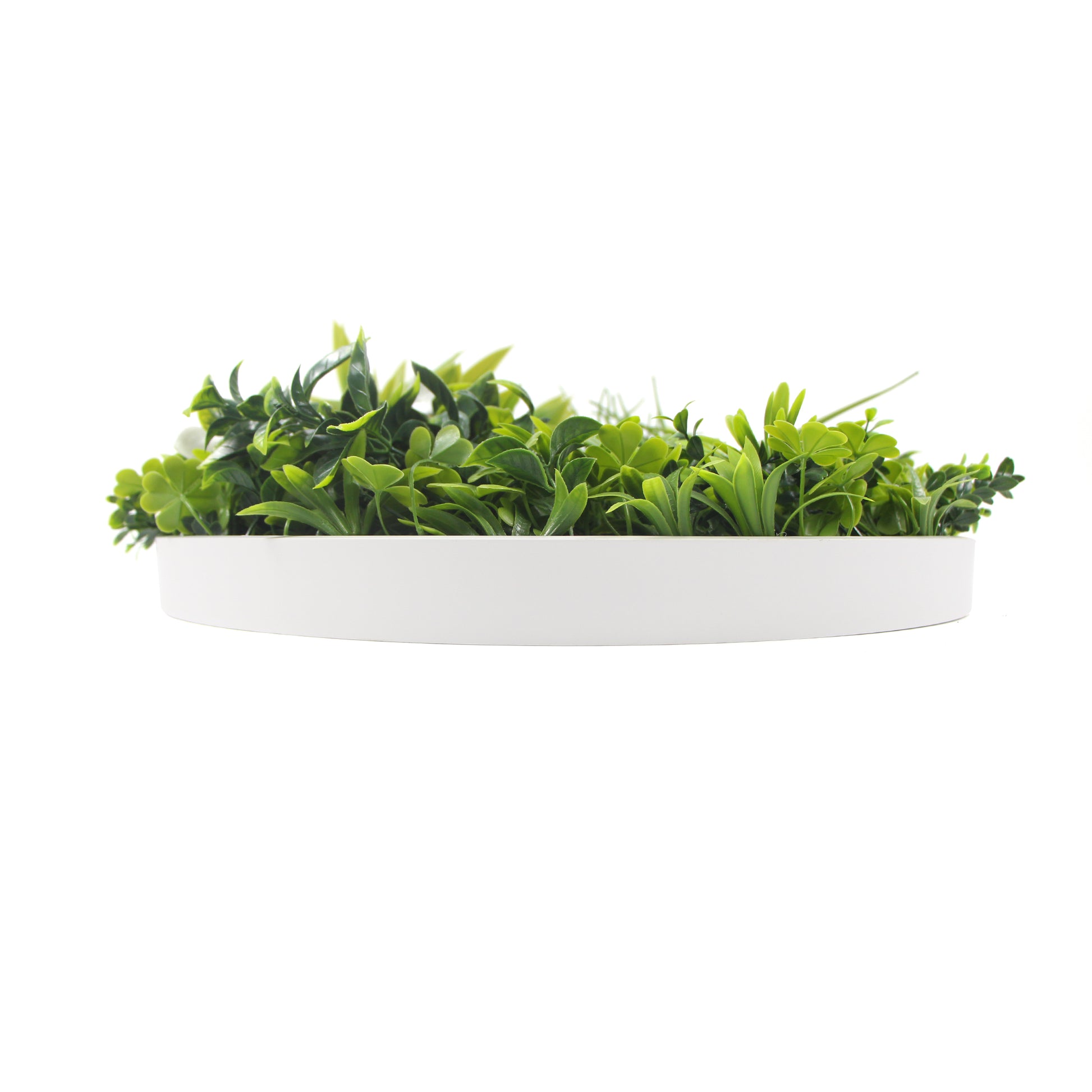 Flowering White Artificial Green Wall Disc UV Resistant 75cm (White Frame) - image3