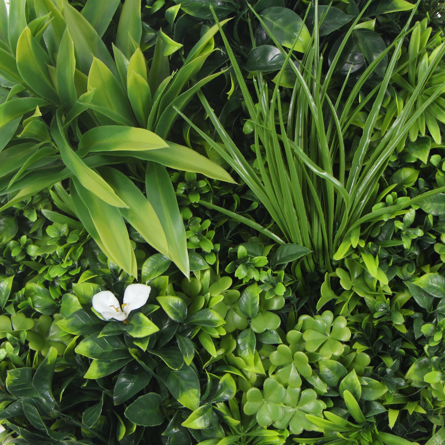 Flowering White Artificial Green Wall Disc UV Resistant 75cm (Black Frame) - image4