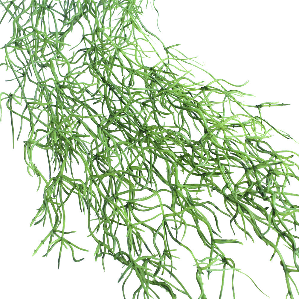 Air Plant / Spanish Moss Hanging Vine 120cm - image4