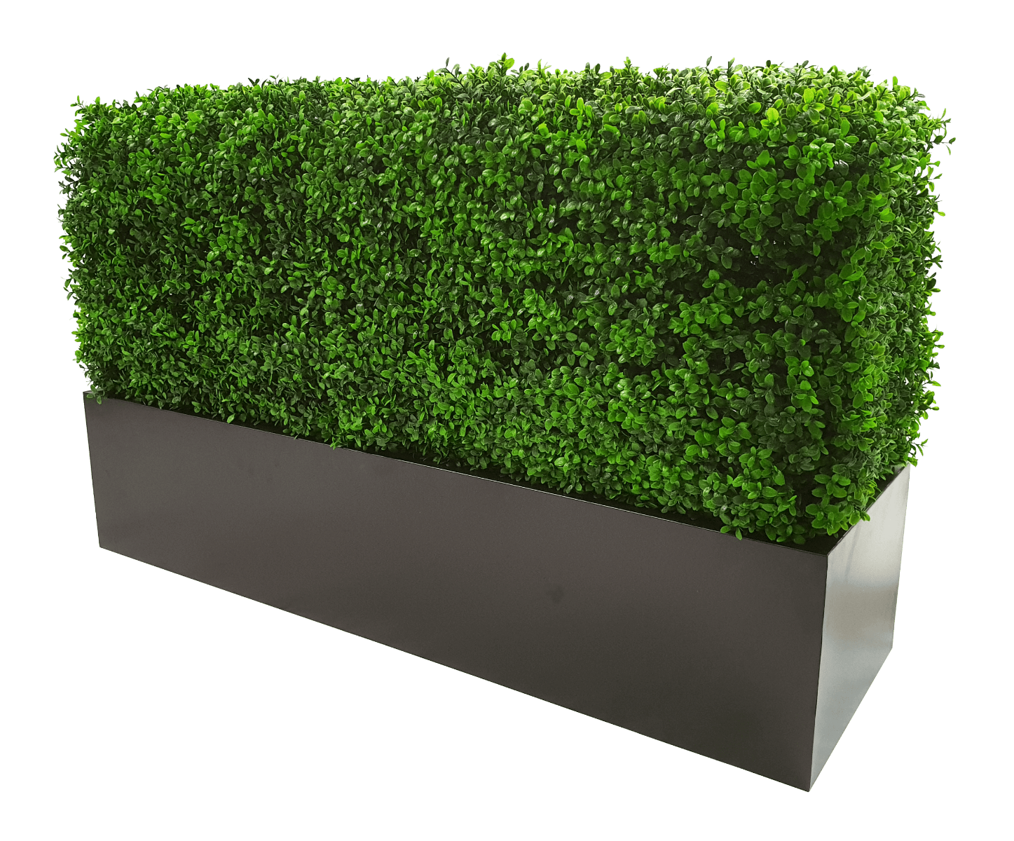 Deluxe Portable Buxus (Bright) UV Resistant 100cm Long x 50cm High x 25cm Wide - image6