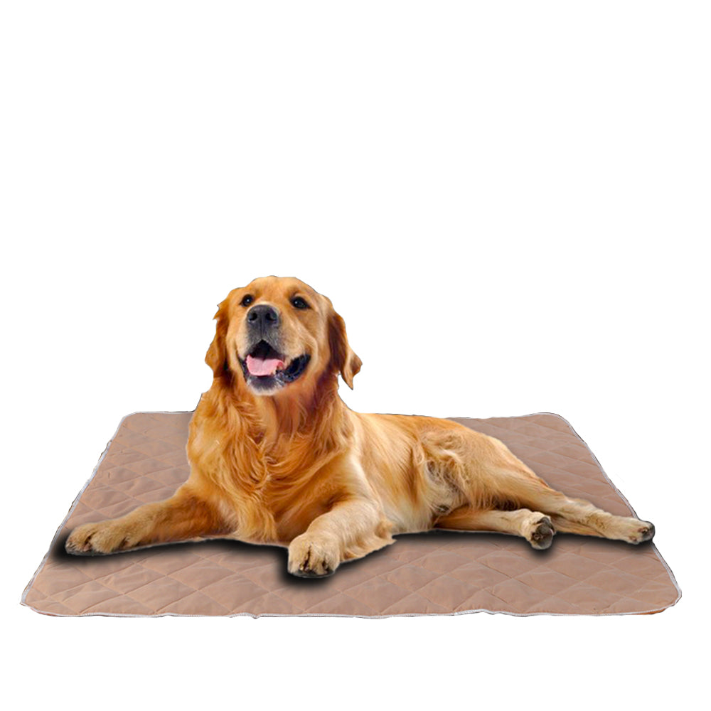 2 Pcs 120x180 cm Reusable Waterproof Pet Puppy Toilet Training Pads - image2