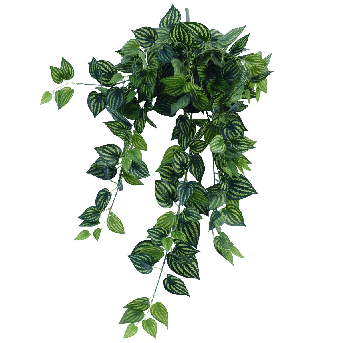 Bright Mixed Philodendron Garland Bush 100cm - image1