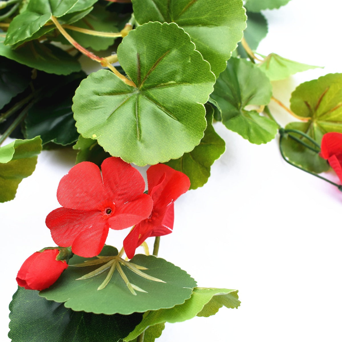 Geranium Hanging Bush with Red Flowers 60cm - image2