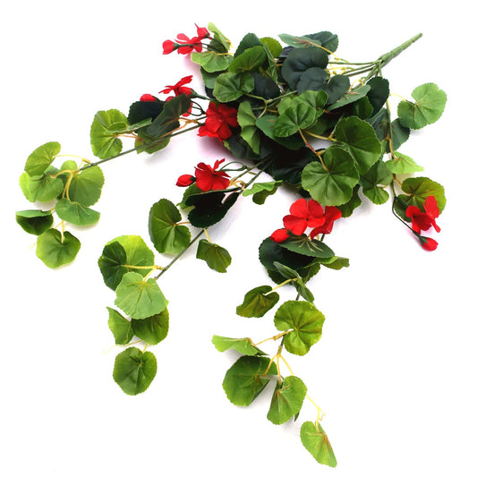 Geranium Hanging Bush with Red Flowers 60cm - image1