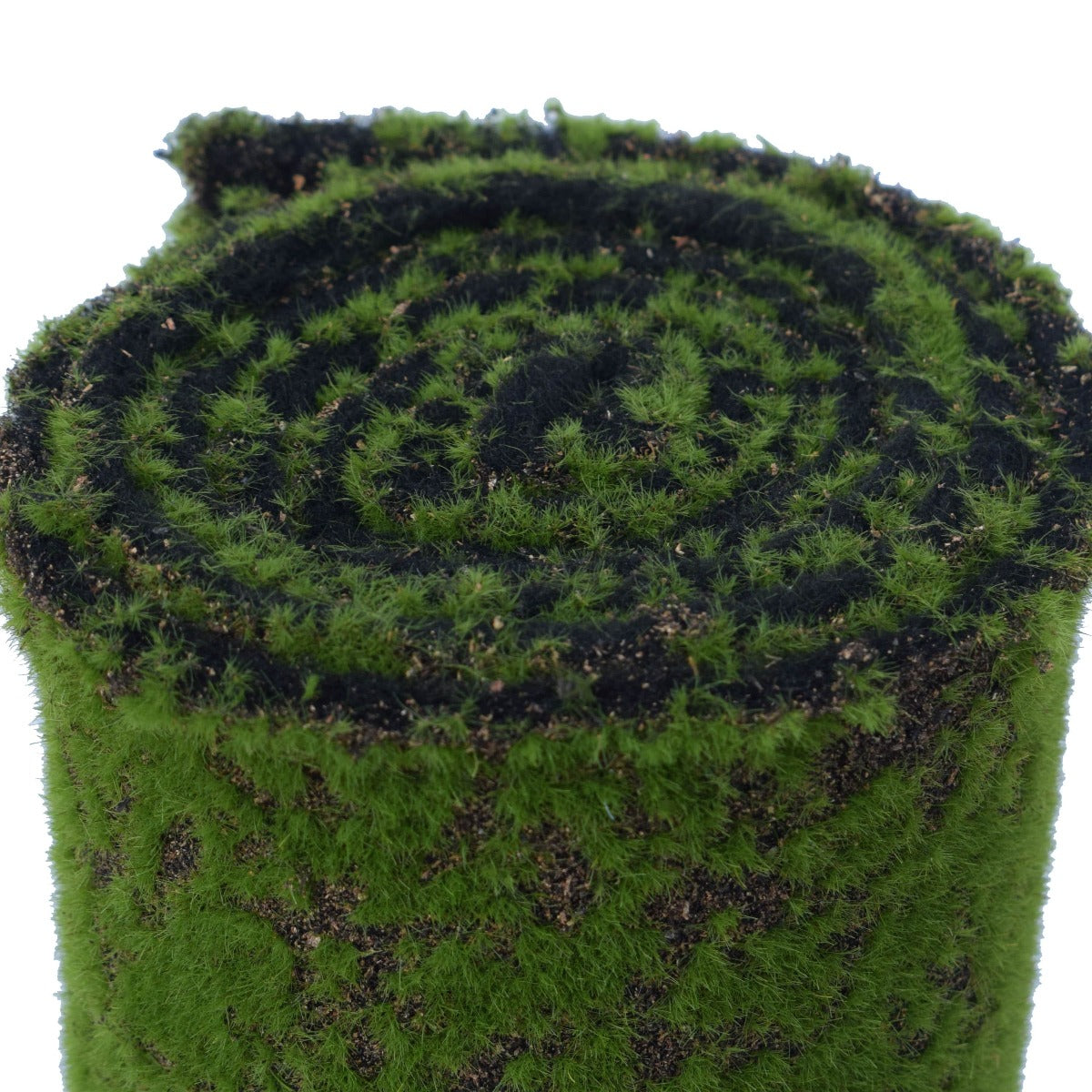 Moss Wall Covering 200cm x 50cm - image2