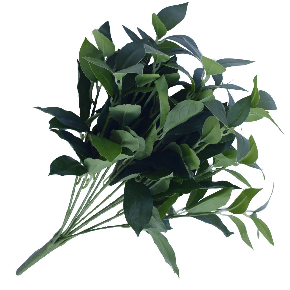 Bayleaf Foliage Bunch 45cm - image3