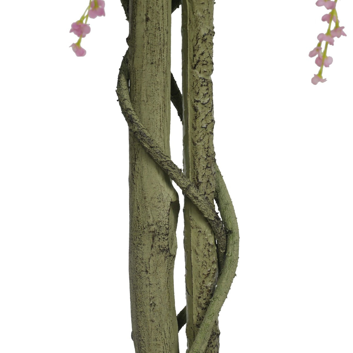 Pink Flowering Wisteria 180cm - image4