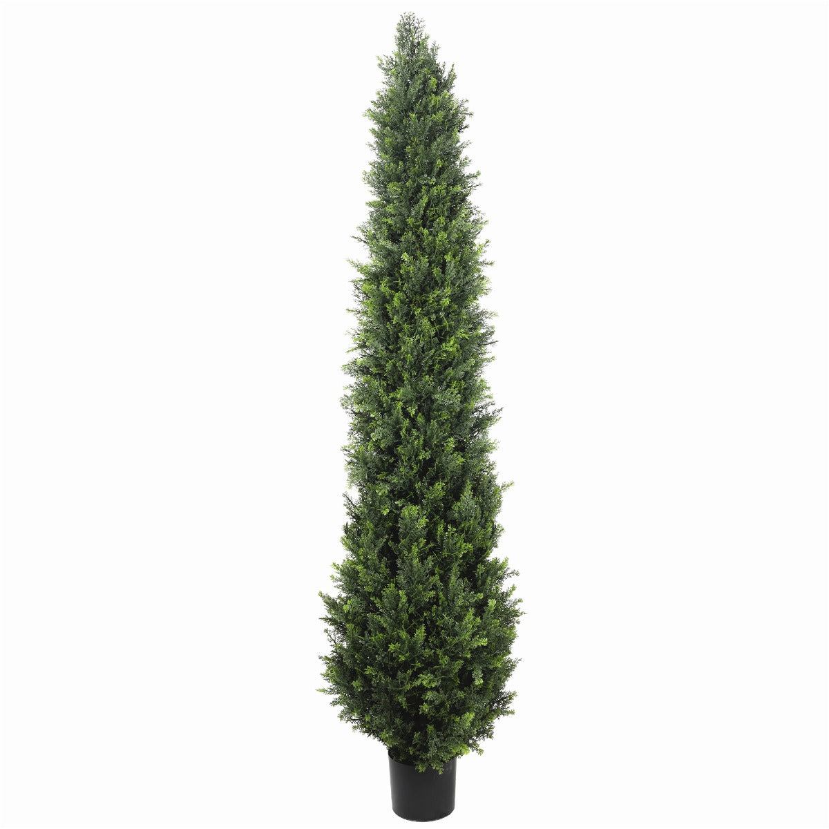 UV Resistant Cypress Pine Tree 1.8m - image2