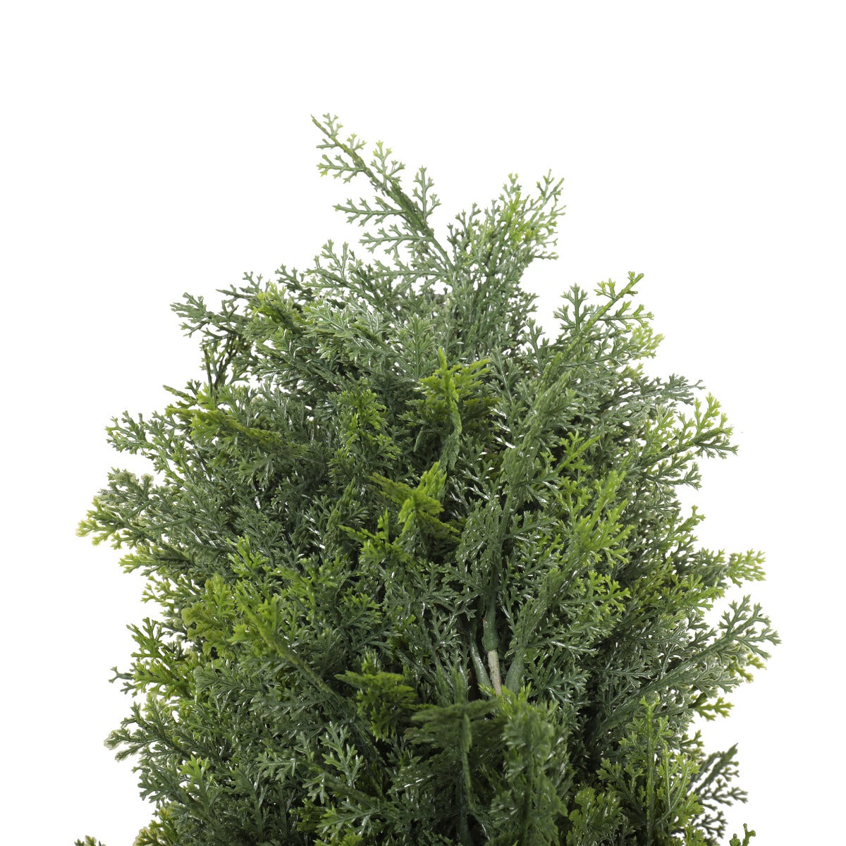 UV Resistant Cypress Pine Tree 1.8m - image3