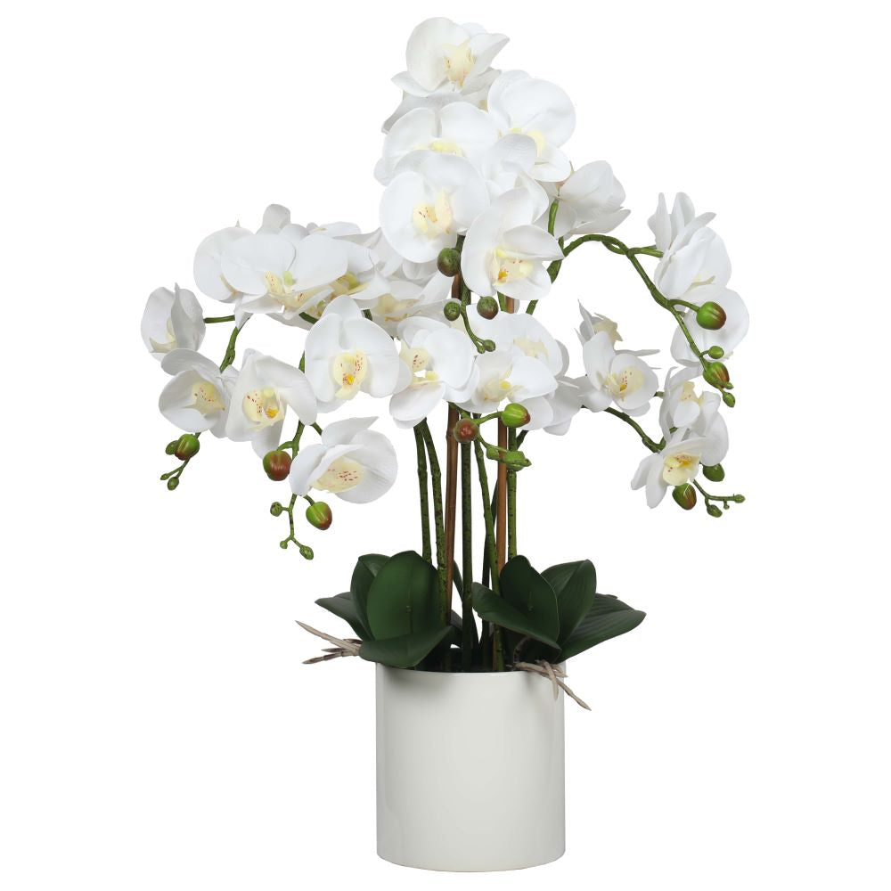 Large Multi-Stem White Potted Faux Orchid 65cm - image1