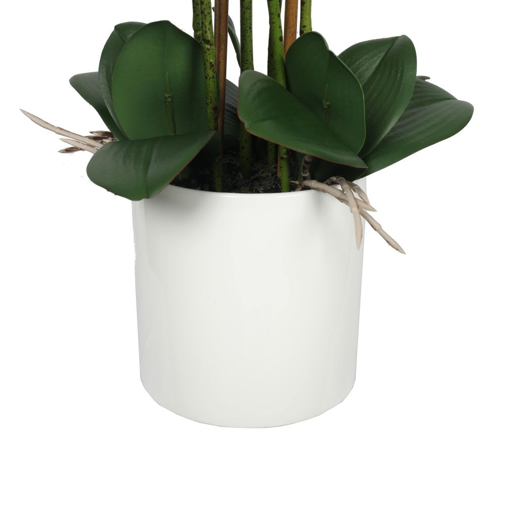 Large Multi-Stem White Potted Faux Orchid 65cm - image3