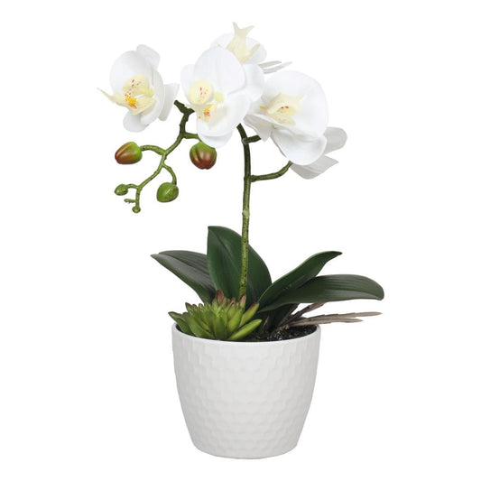 Potted Single Stem White Phalaenopsis Orchid with Decorative Pot 35cm - image1