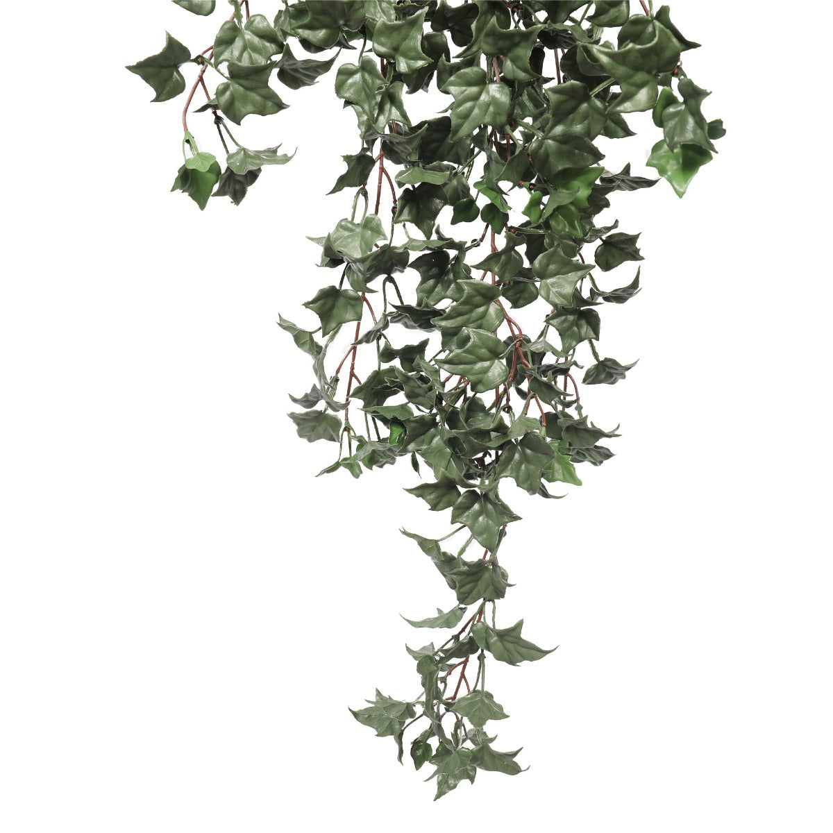 Hanging English Ivy Bush 80cm UV Resistant - image2