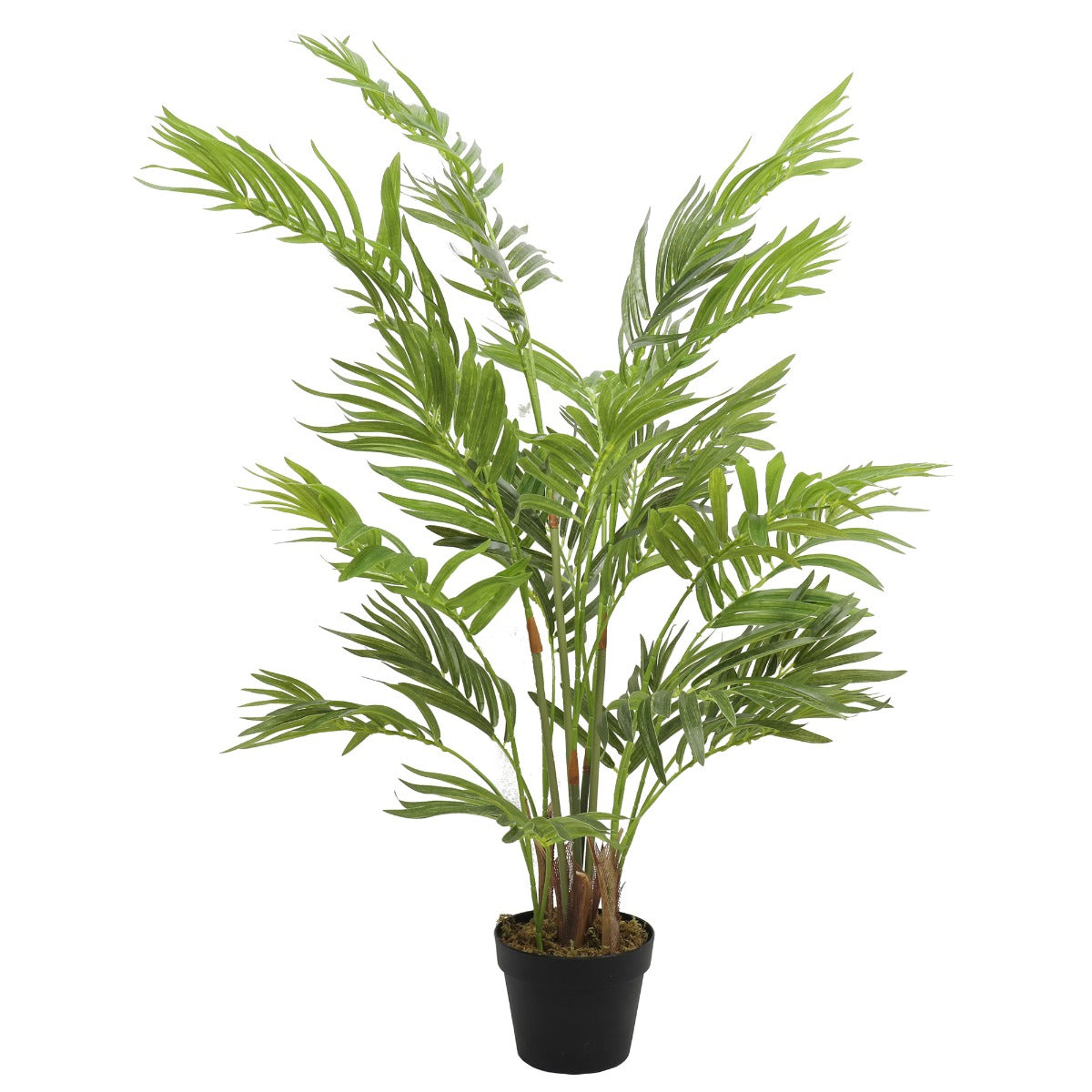 Potted Areca Palm Tree 120cm - image1