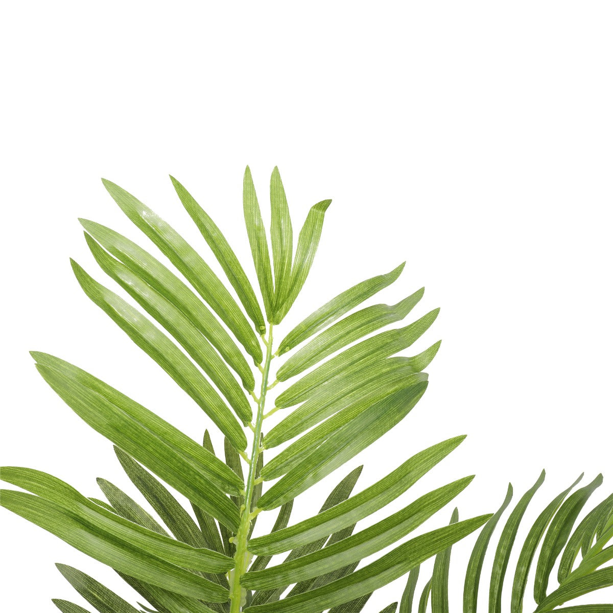 Potted Areca Palm Tree 120cm - image3