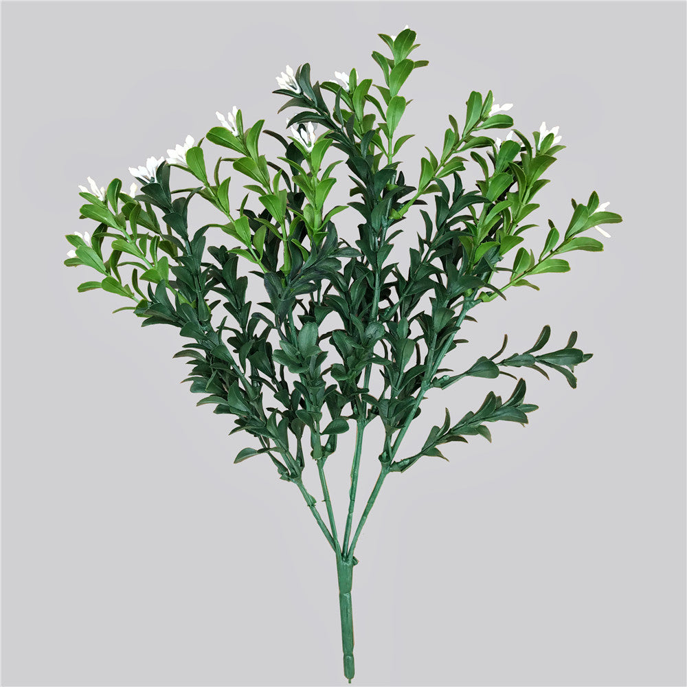 Flowering Boxwood Stem 30cm - image4