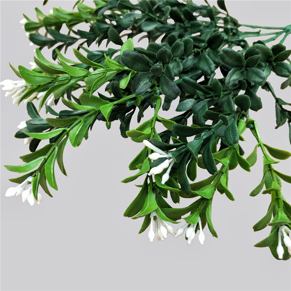 Flowering Boxwood Stem 30cm - image2