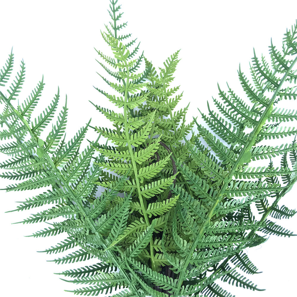 Dark Fern Stem UV Resistant 38cm - image2