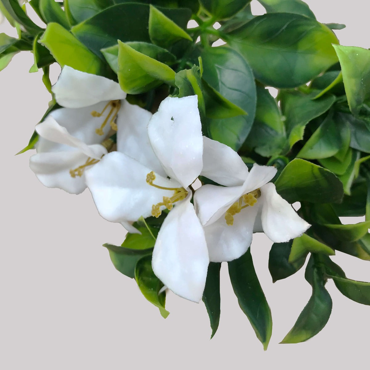 White Flowering Jasmine Stem UV Resistant 30cm - image2