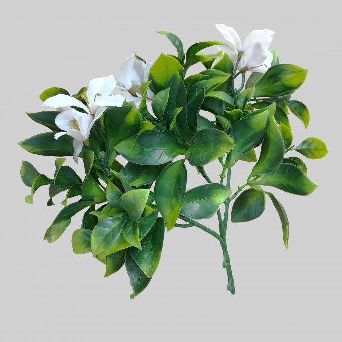 White Flowering Jasmine Stem UV Resistant 30cm - image1