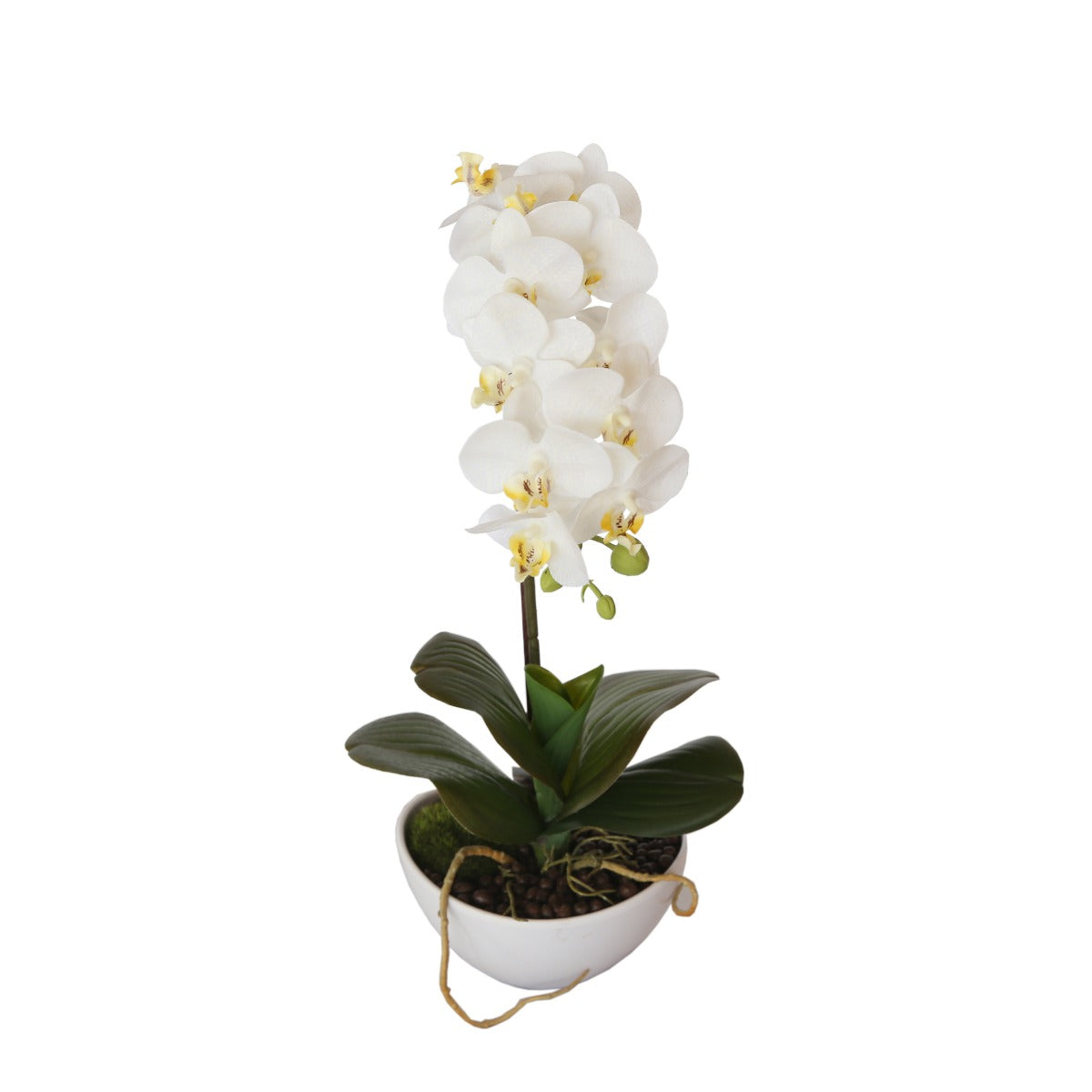 46cm Butterfly Orchid - White - image1