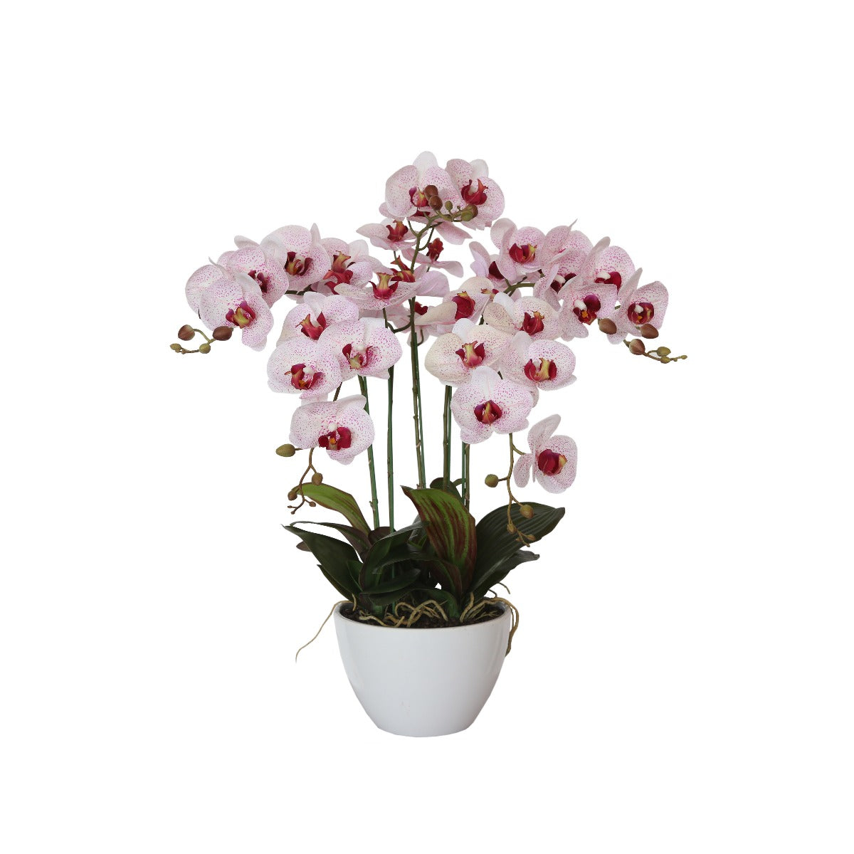 66cm Multi Butterfly Orchid - Pink - image2