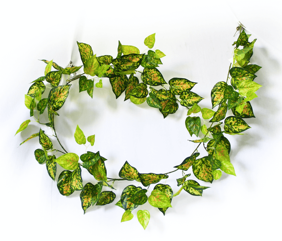 Mixed Yellow and Red Pothos Garland 190cm - image1