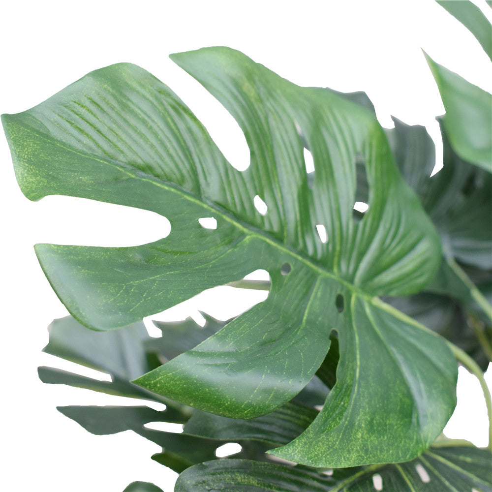 Potted Split Philodendron (Monstera) 40 cm - image2