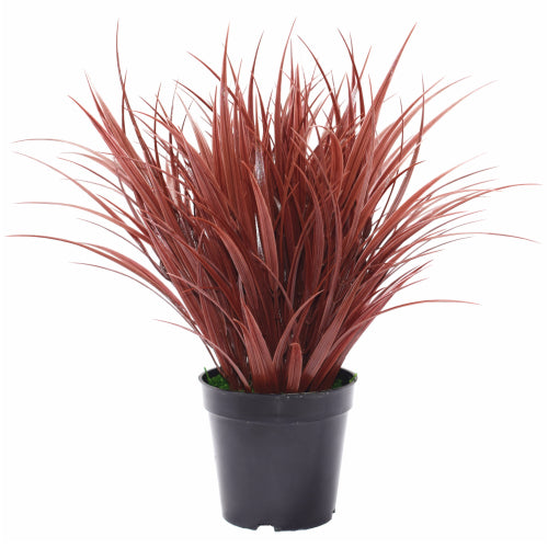 Ornamental Potted Dense Burgundy Grass 38 cm - image1